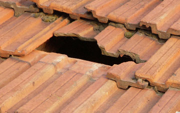 roof repair Knipe Fold, Cumbria