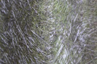 Knipe Fold fibreglass roof work